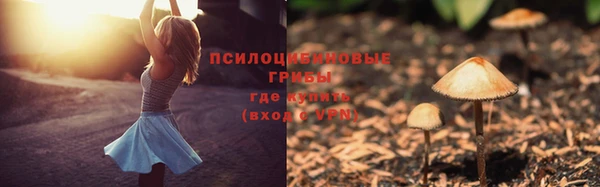 экстази Абаза